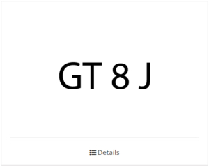 GT 8 J